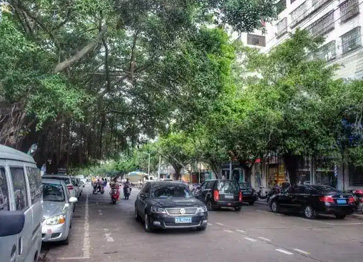 義龍路片區及萬國西路積水點改造工程基坑監(jiān)測